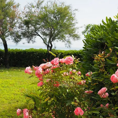 Capo Piccolo Holiday home *